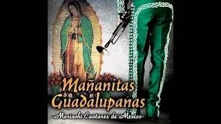 Mariachi Cantares De Mexico - Apariciones Guadalupanas (2015)