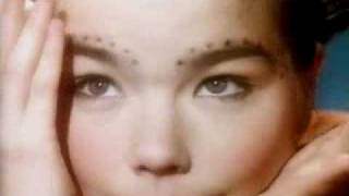 Björk - Venus As A Boy (2007)