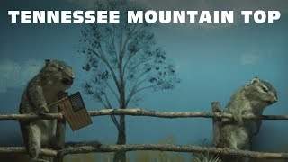 Kid Rock - Tennessee Mountain Top (2017)