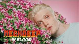 Neck Deep - In Bloom (2017)