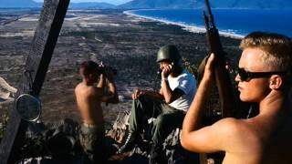 Vietnam War Music - The Byrds (2013)