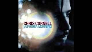 Chris Cornell - Steel Rain (2012)