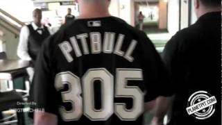 Pitbull - 305 Till I Die... (2011)