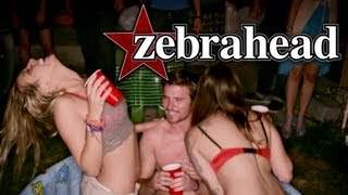 Zebrahead - Call Your Friends (2013)